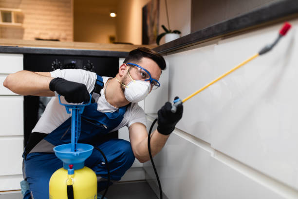 Best Wasp Removal Services  in North Hobbs, NM