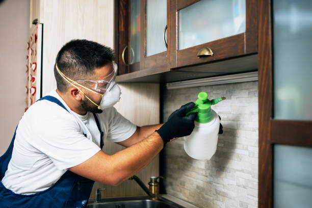 Best Best Pest Control Companies  in North Hobbs, NM
