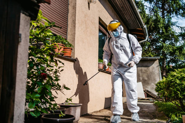 Best Pest Removal Services  in North Hobbs, NM