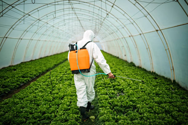 Best Affordable Pest Control Services  in North Hobbs, NM