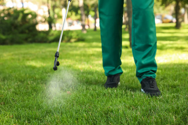 Professional Pest Control in North Hobbs, NM
